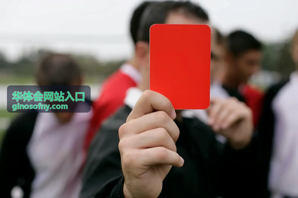 华体会网站入口栏目速览片段封面